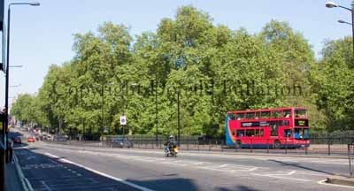 Piccadilly